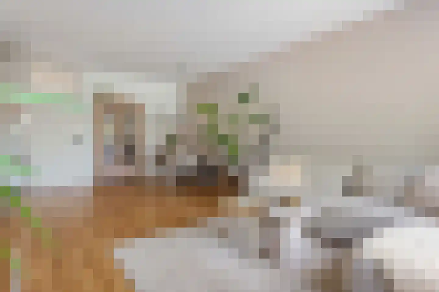 Hora Siccamasingel 22 Groningen thumbnail 18