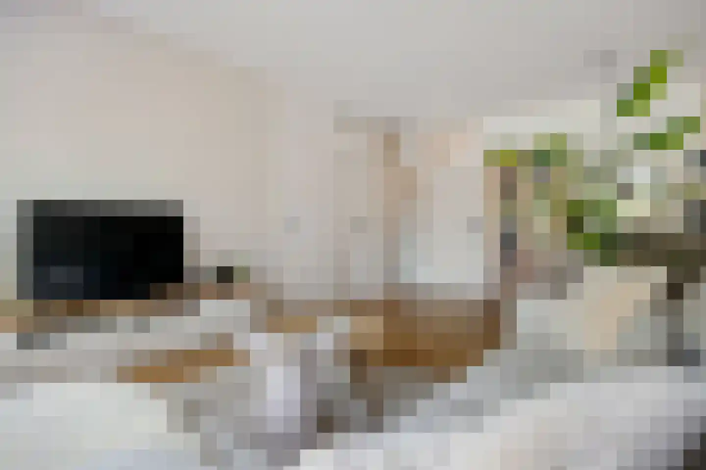Hora Siccamasingel 22 Groningen thumbnail 20