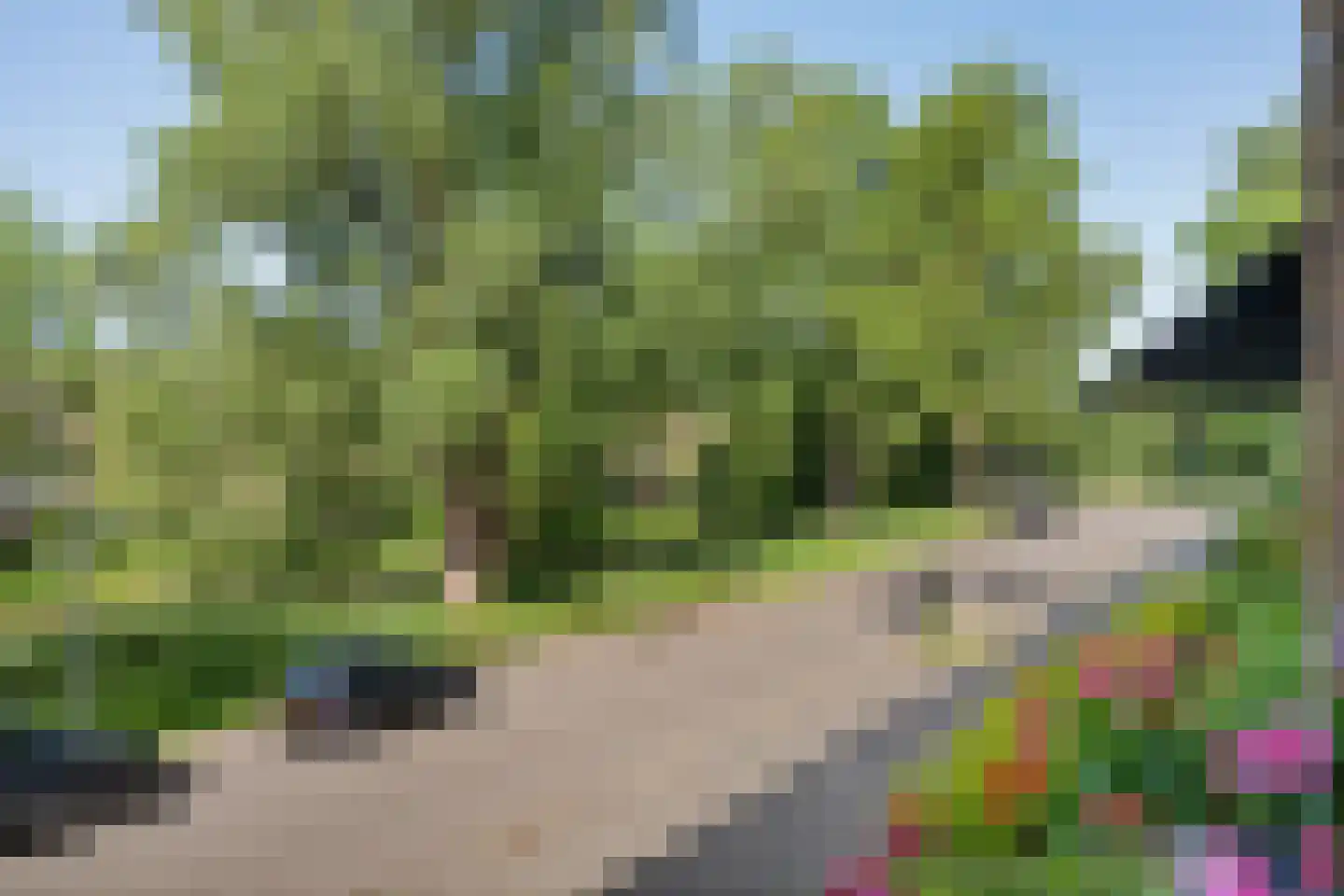 Hora Siccamasingel 22 Groningen thumbnail 28