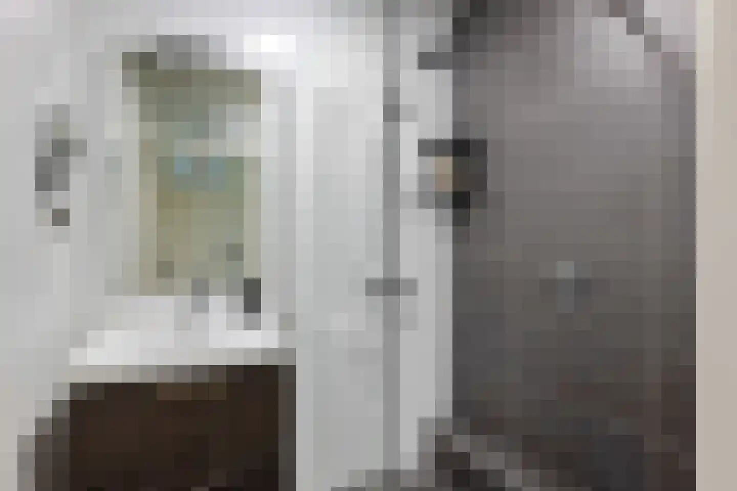 Hora Siccamasingel 22 Groningen thumbnail 29