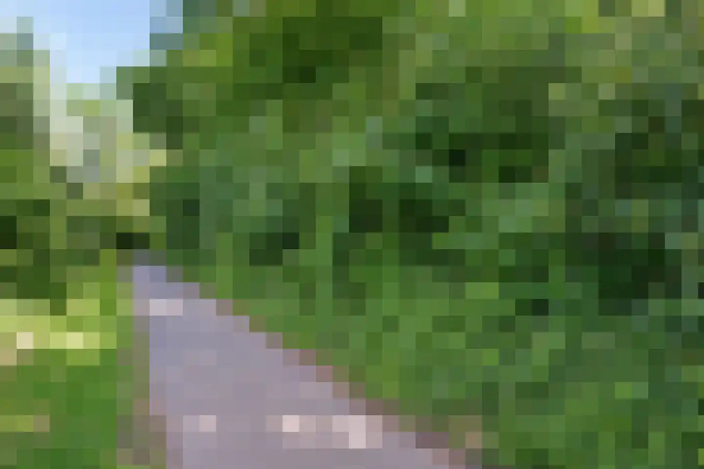 Hora Siccamasingel 22 Groningen thumbnail 35