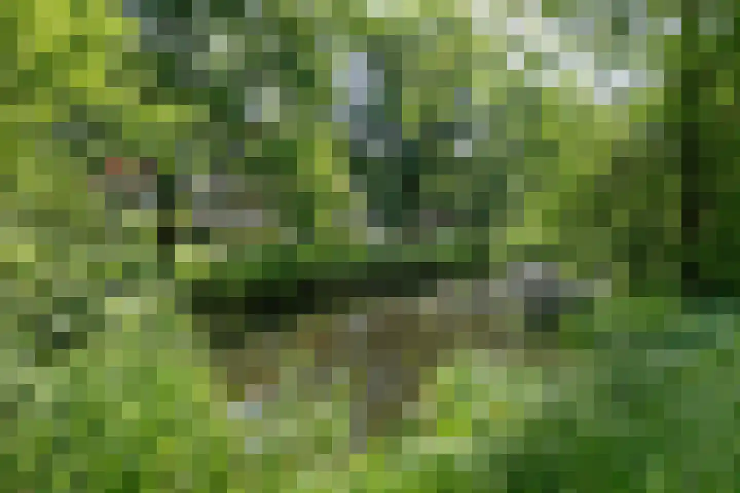 Hora Siccamasingel 22 Groningen thumbnail 36