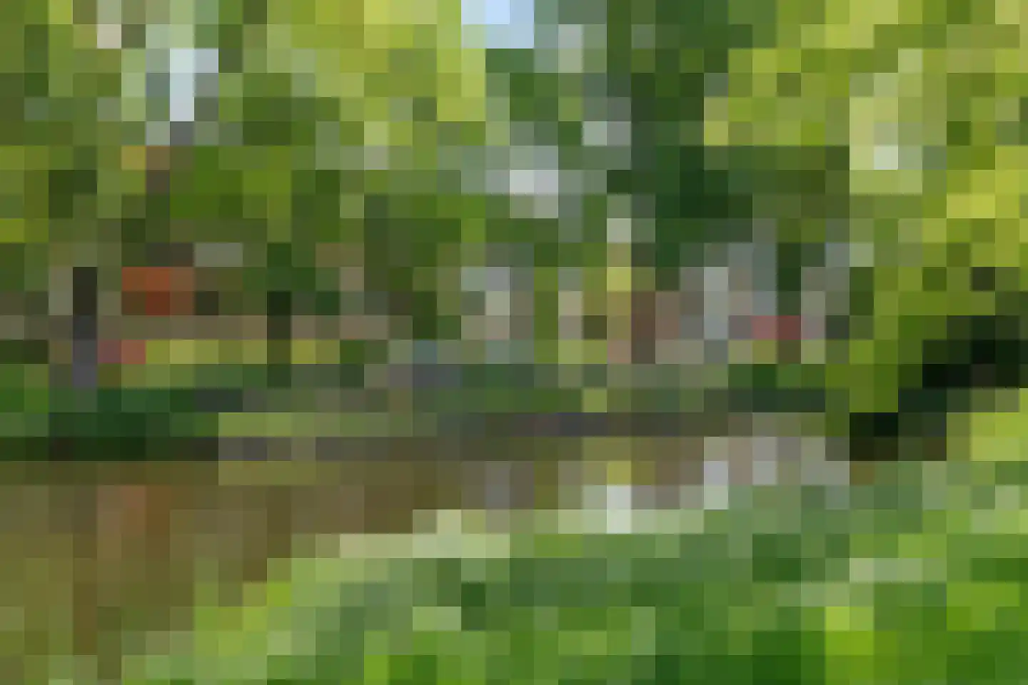 Hora Siccamasingel 22 Groningen thumbnail 37
