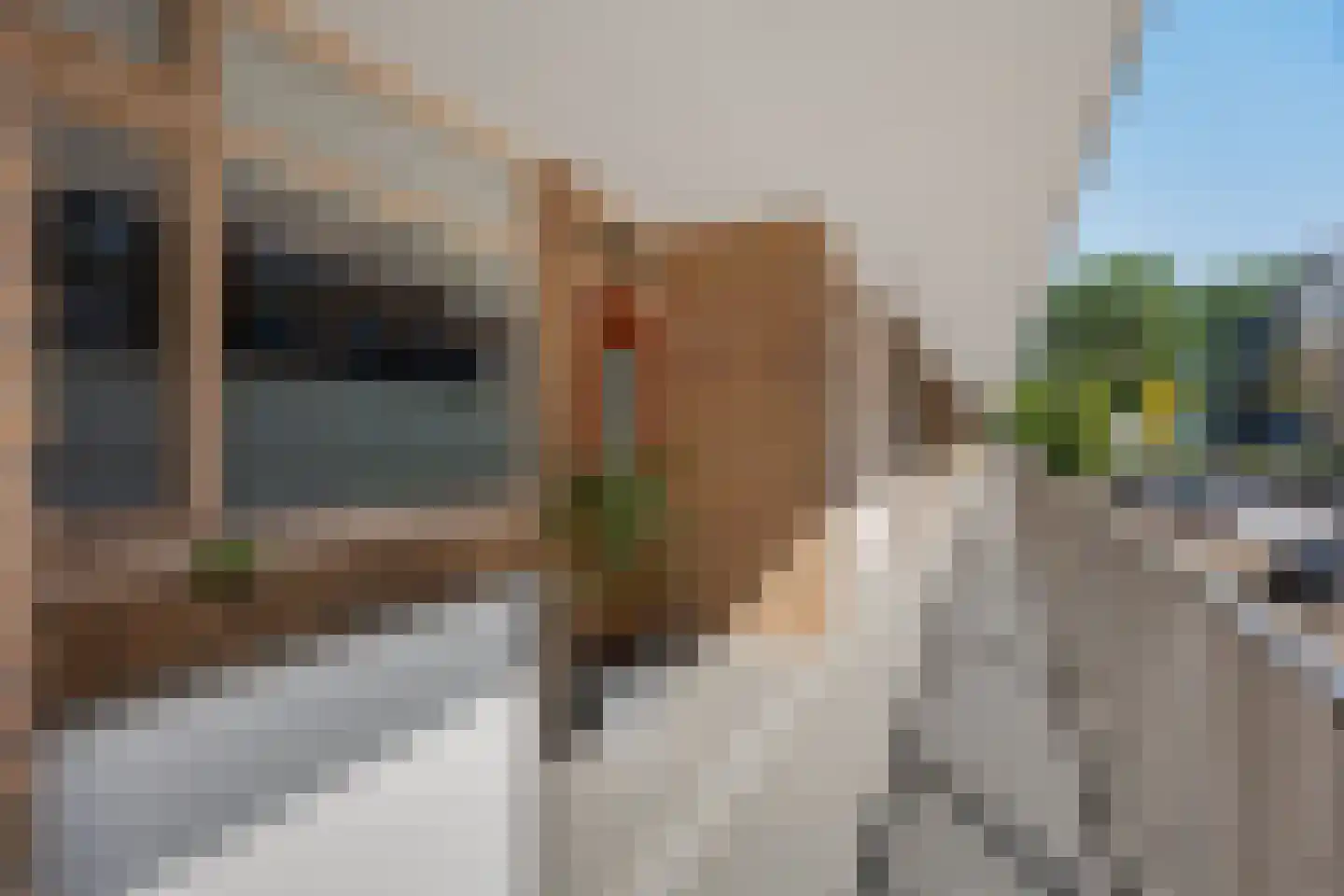 Hora Siccamasingel 22 Groningen thumbnail 7