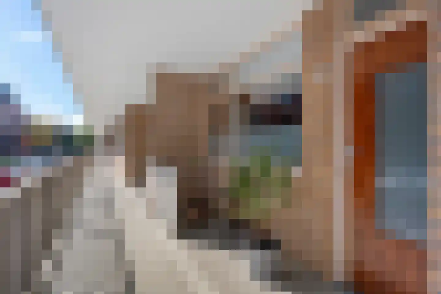 Hora Siccamasingel 22 Groningen thumbnail 8