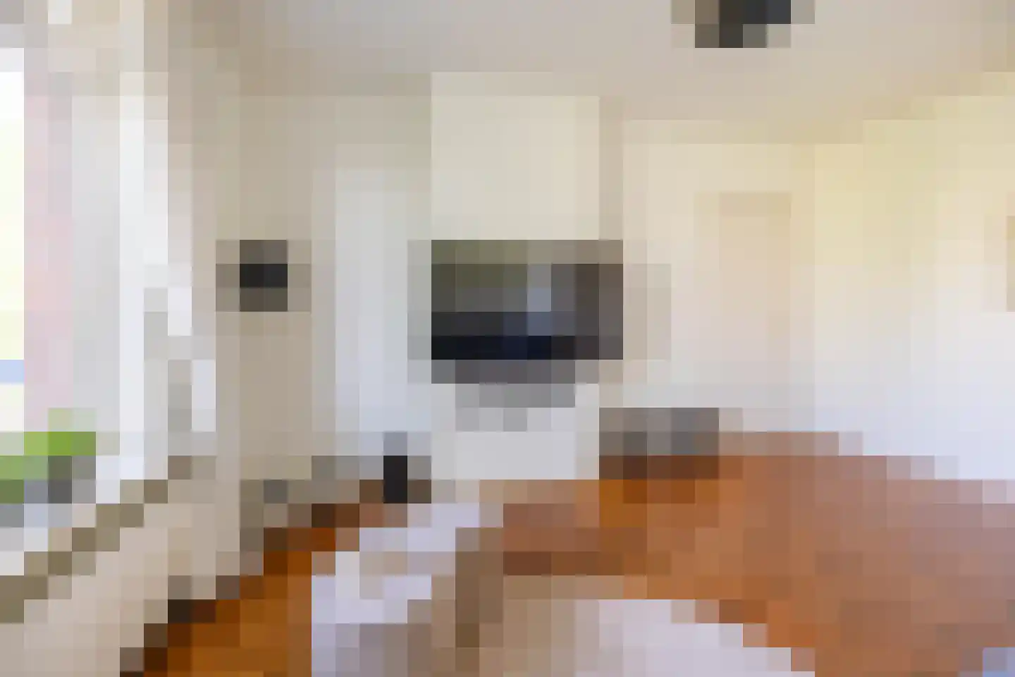 Hora Siccamasingel 262 Groningen thumbnail 12