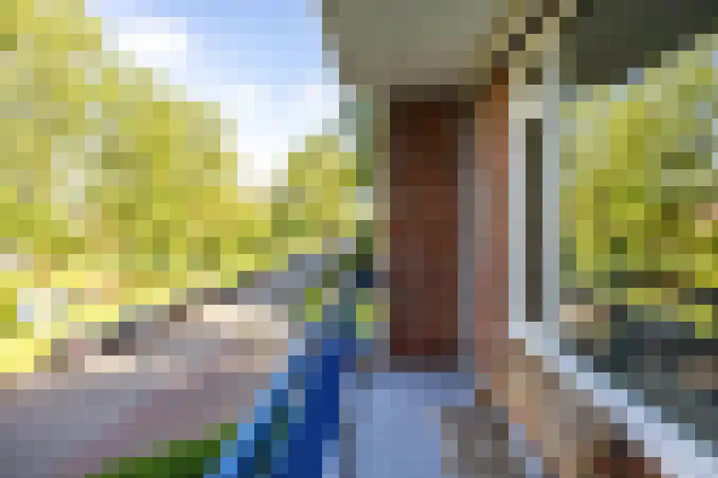 Hora Siccamasingel 262 Groningen thumbnail 13