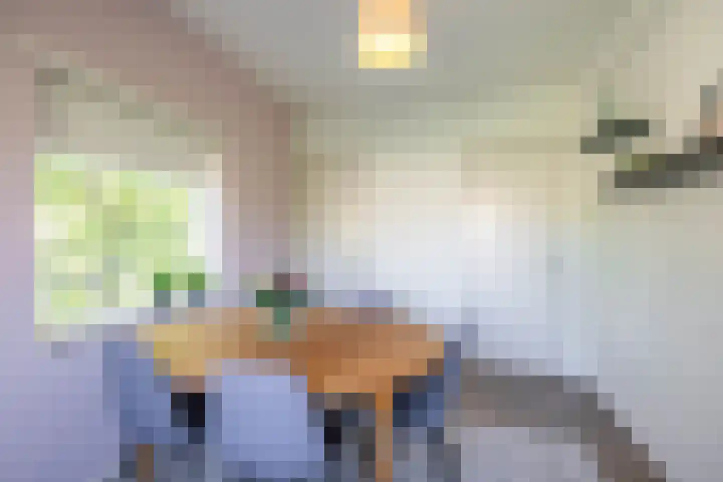 Hora Siccamasingel 262 Groningen thumbnail 18