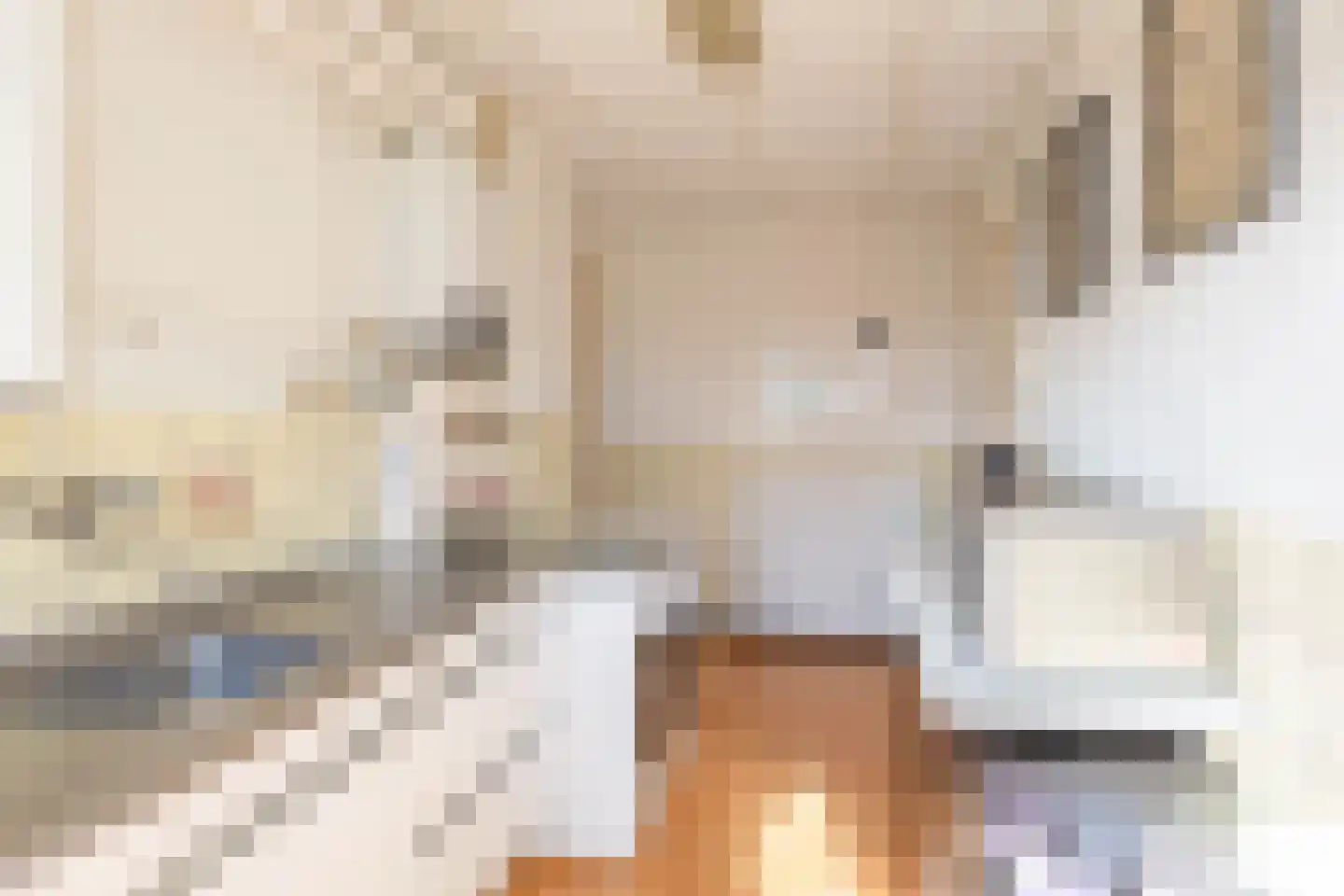 Hora Siccamasingel 262 Groningen thumbnail 22