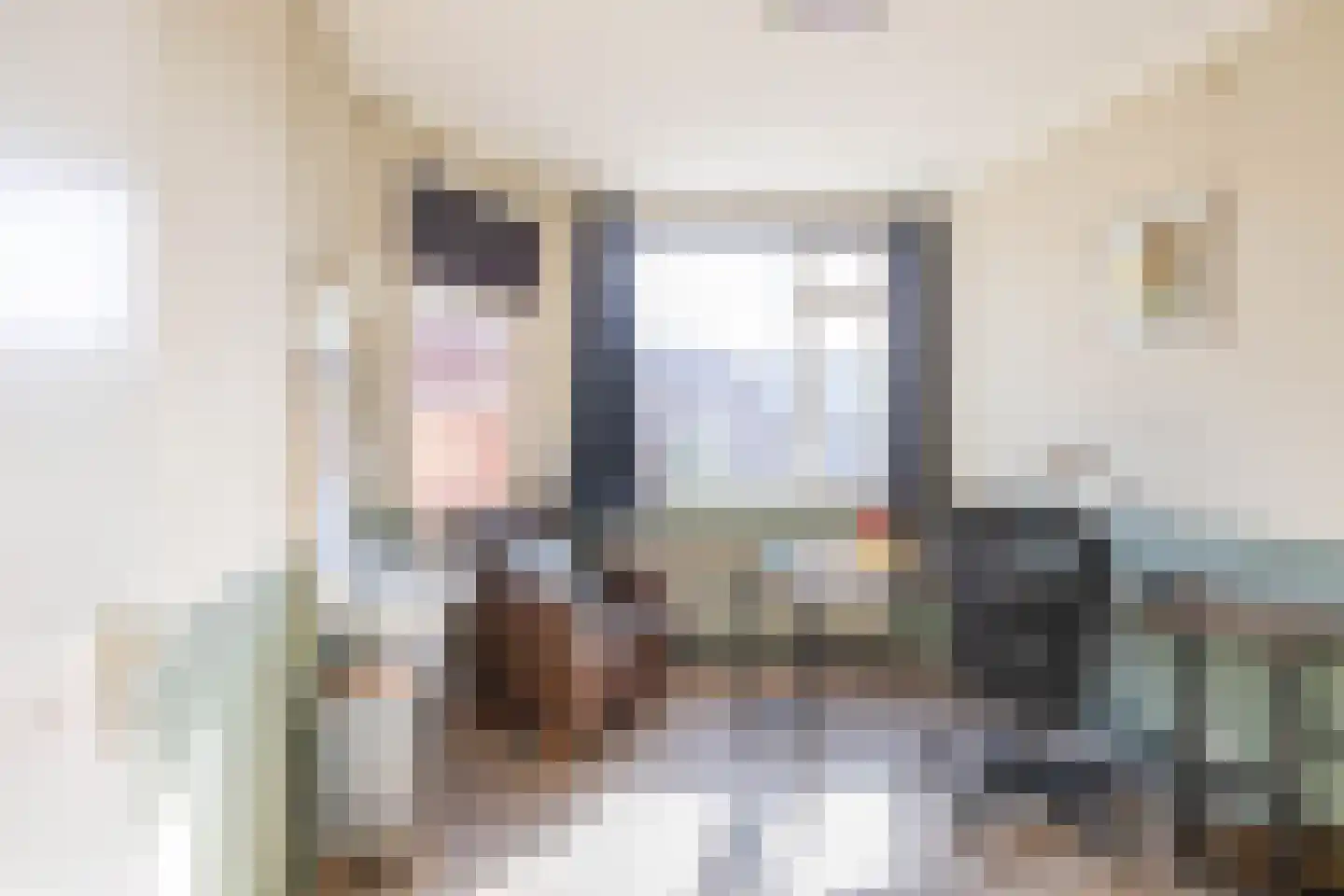 Hora Siccamasingel 262 Groningen thumbnail 24