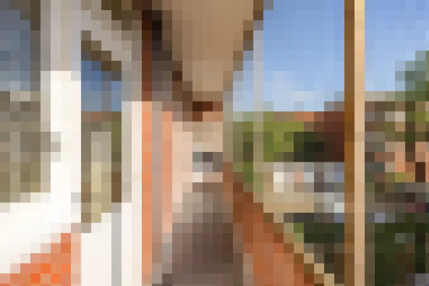 Hora Siccamasingel 262 Groningen thumbnail 26