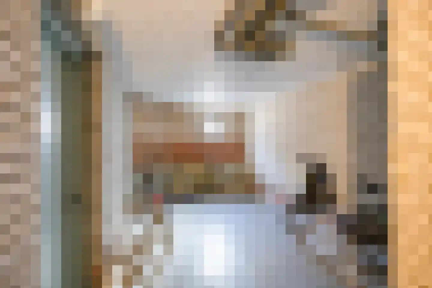 Hora Siccamasingel 262 Groningen thumbnail 29