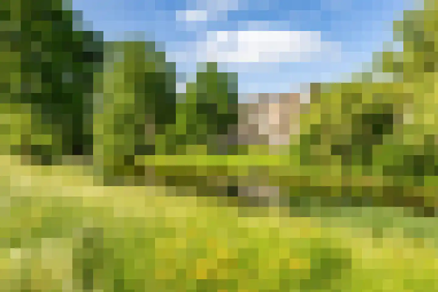 Hora Siccamasingel 262 Groningen thumbnail 31