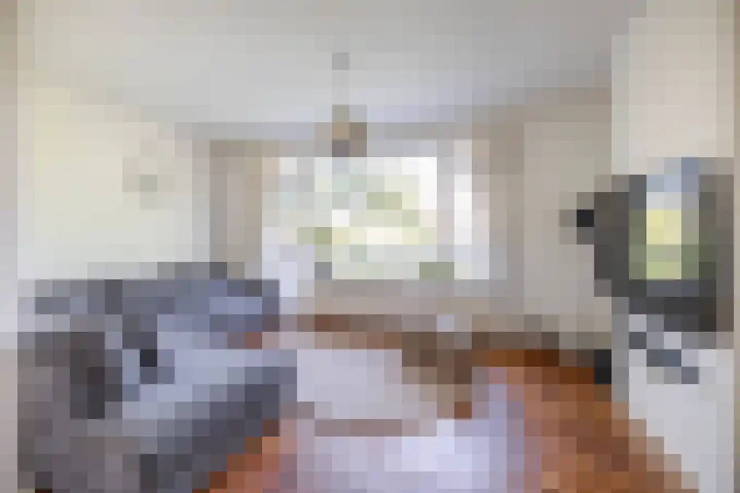 Hora Siccamasingel 262 Groningen thumbnail 4