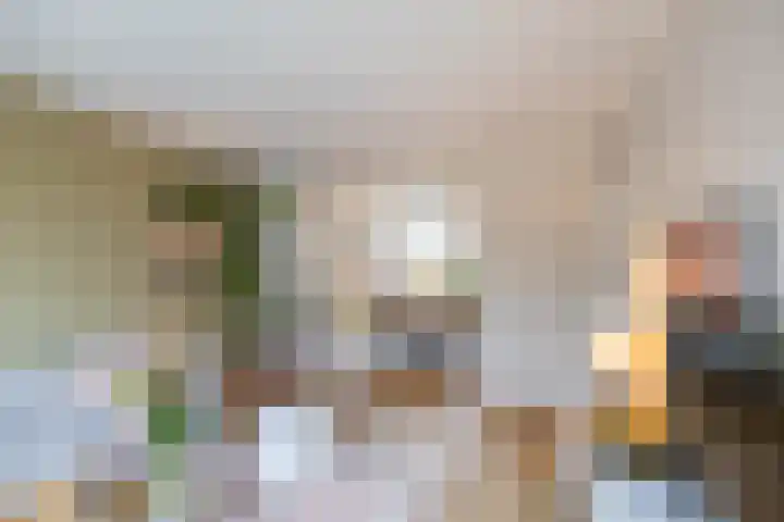 Hora Siccamasingel 3 Groningen thumbnail 13