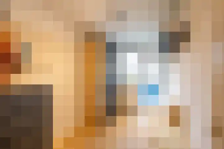 Hora Siccamasingel 3 Groningen thumbnail 33