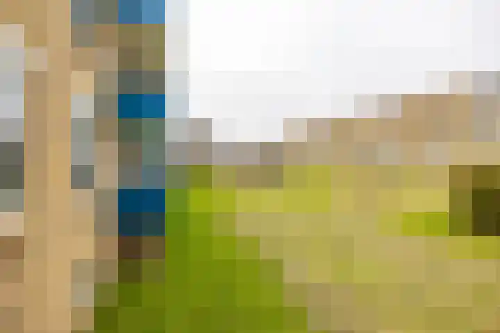 Hora Siccamasingel 3 Groningen thumbnail 37