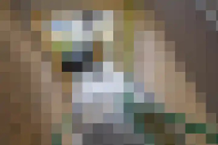 Hora Siccamasingel 3 Groningen thumbnail 9