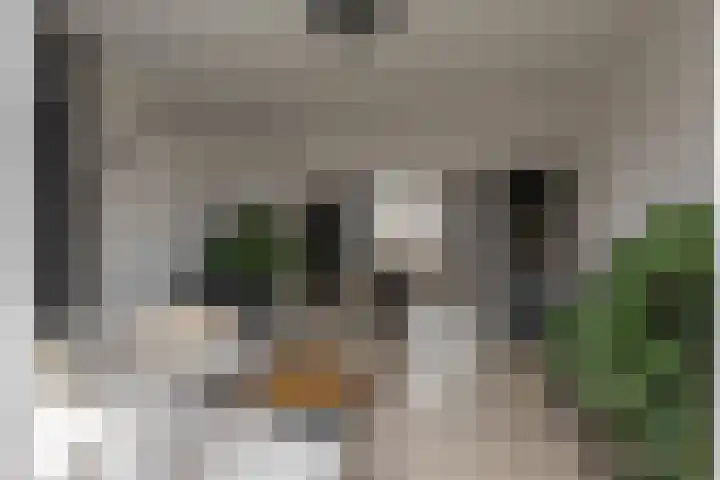 Hora Siccamasingel 302 Groningen thumbnail 10