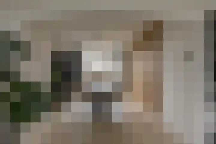 Hora Siccamasingel 302 Groningen thumbnail 12