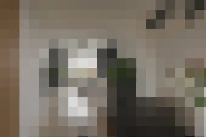 Hora Siccamasingel 302 Groningen thumbnail 14