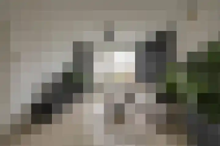 Hora Siccamasingel 302 Groningen thumbnail 15