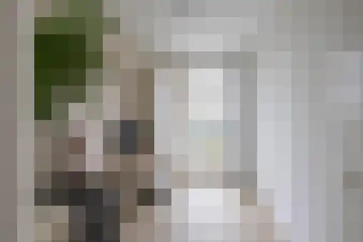 Hora Siccamasingel 302 Groningen thumbnail 26