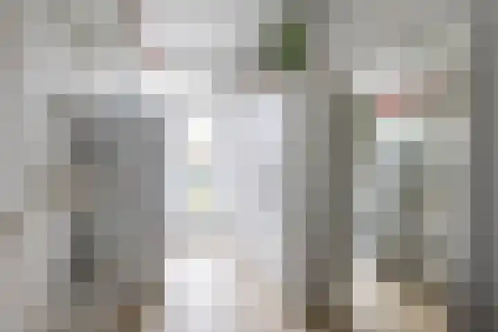 Hora Siccamasingel 302 Groningen thumbnail 28