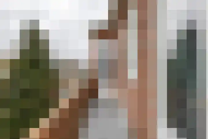 Hora Siccamasingel 302 Groningen thumbnail 29