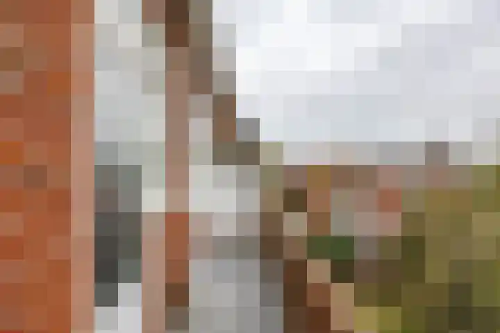 Hora Siccamasingel 302 Groningen thumbnail 30