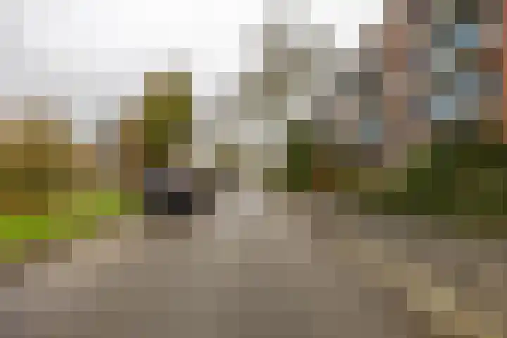 Hora Siccamasingel 302 Groningen thumbnail 32