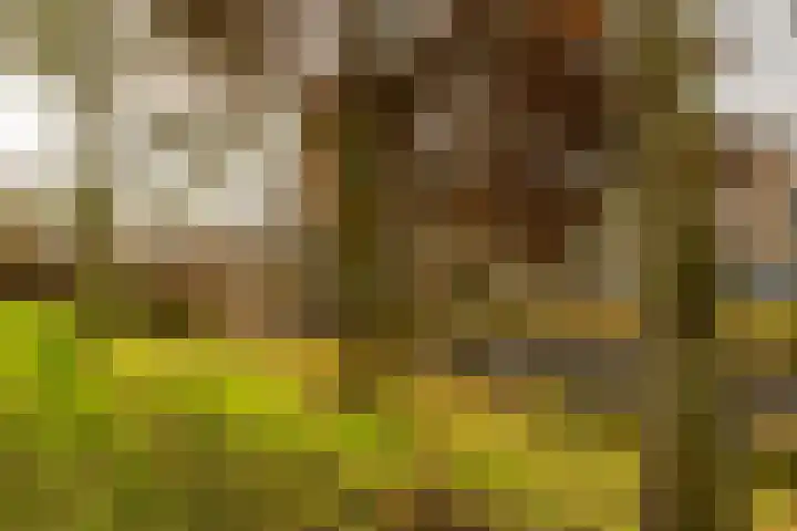 Hora Siccamasingel 302 Groningen thumbnail 33