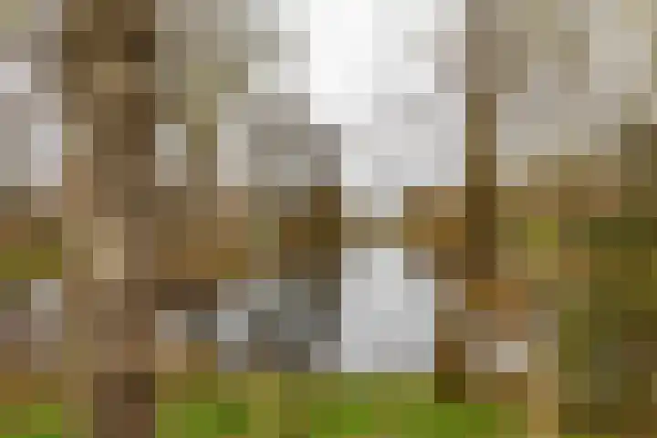 Hora Siccamasingel 302 Groningen thumbnail 34