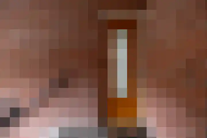 Hora Siccamasingel 302 Groningen thumbnail 9