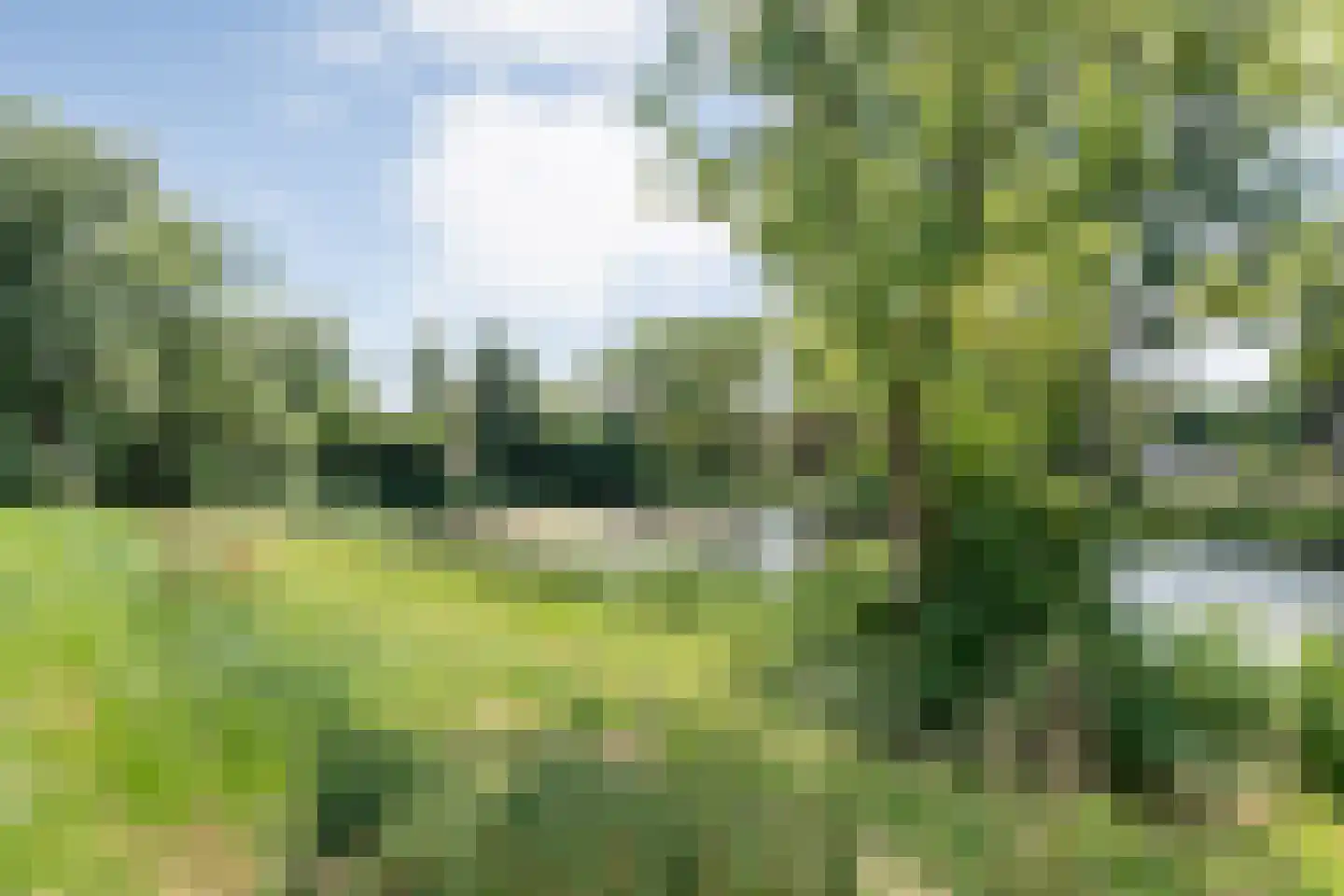 Hora Siccamasingel 306 Groningen thumbnail 42