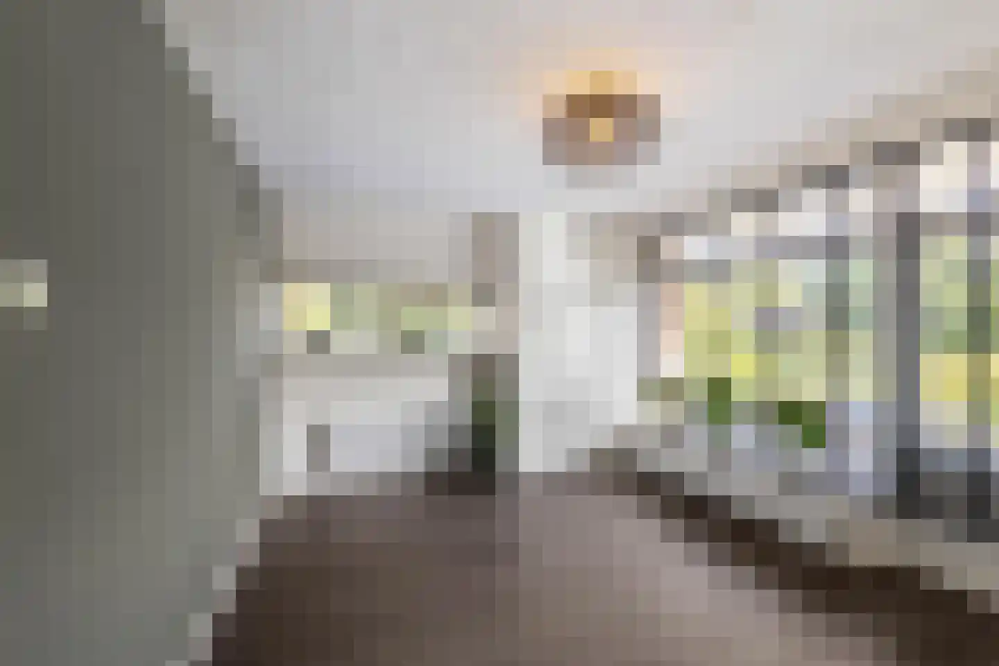 Hora Siccamasingel 369 Groningen thumbnail 11
