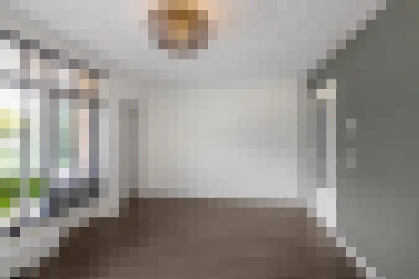 Hora Siccamasingel 369 Groningen thumbnail 13
