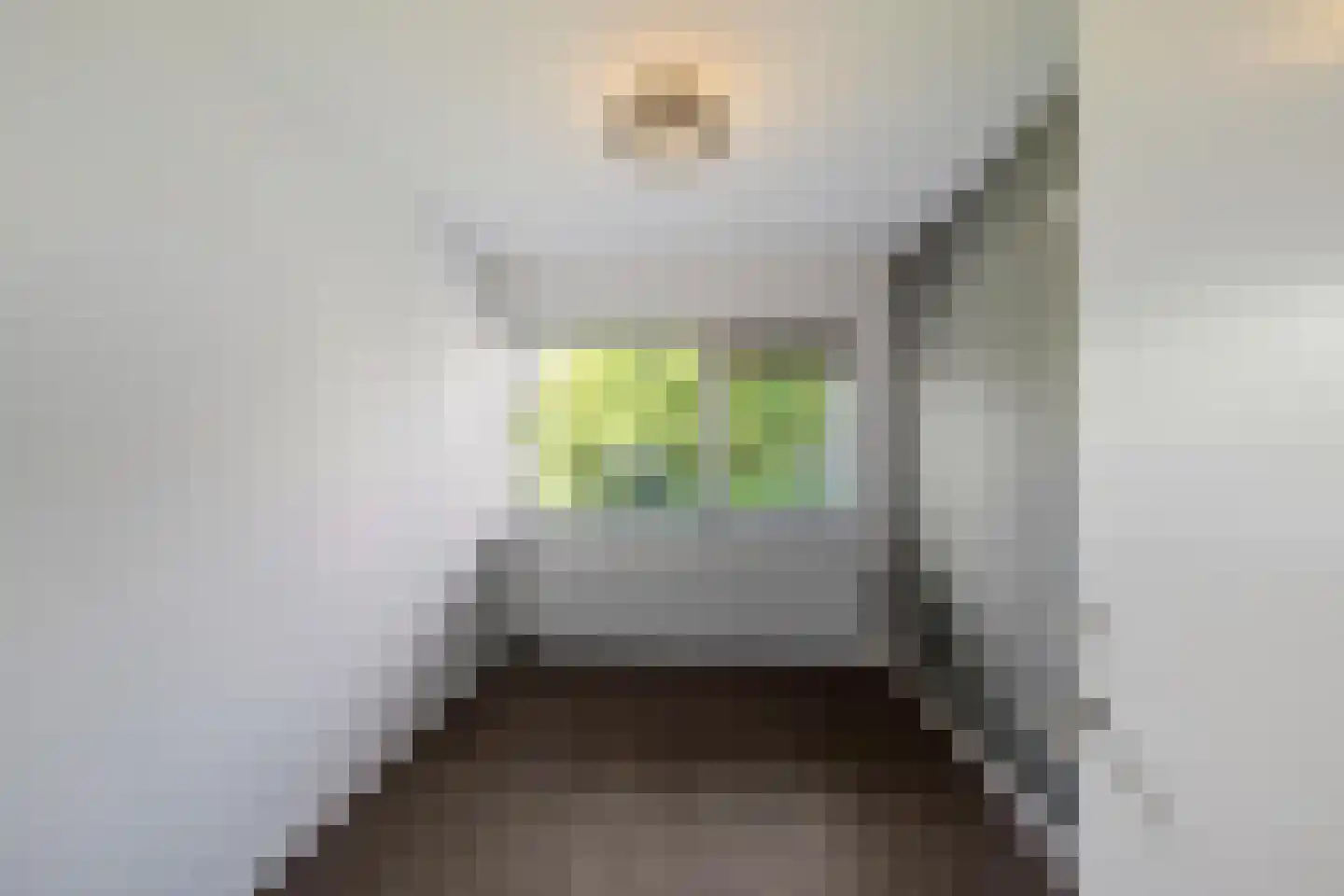 Hora Siccamasingel 369 Groningen thumbnail 26