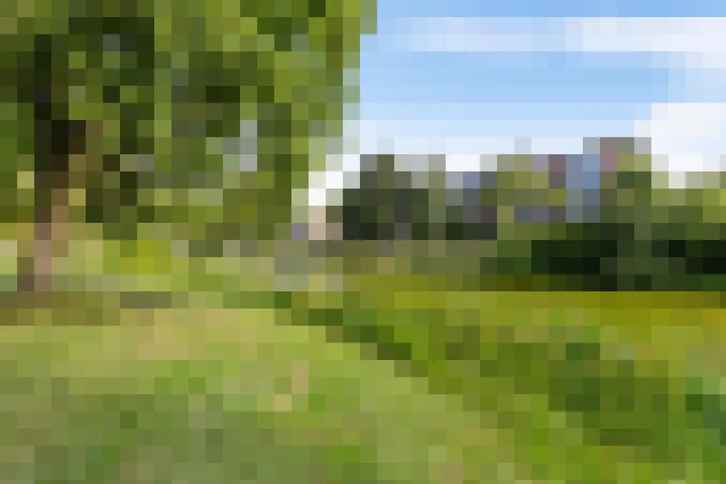 Hora Siccamasingel 369 Groningen thumbnail 6
