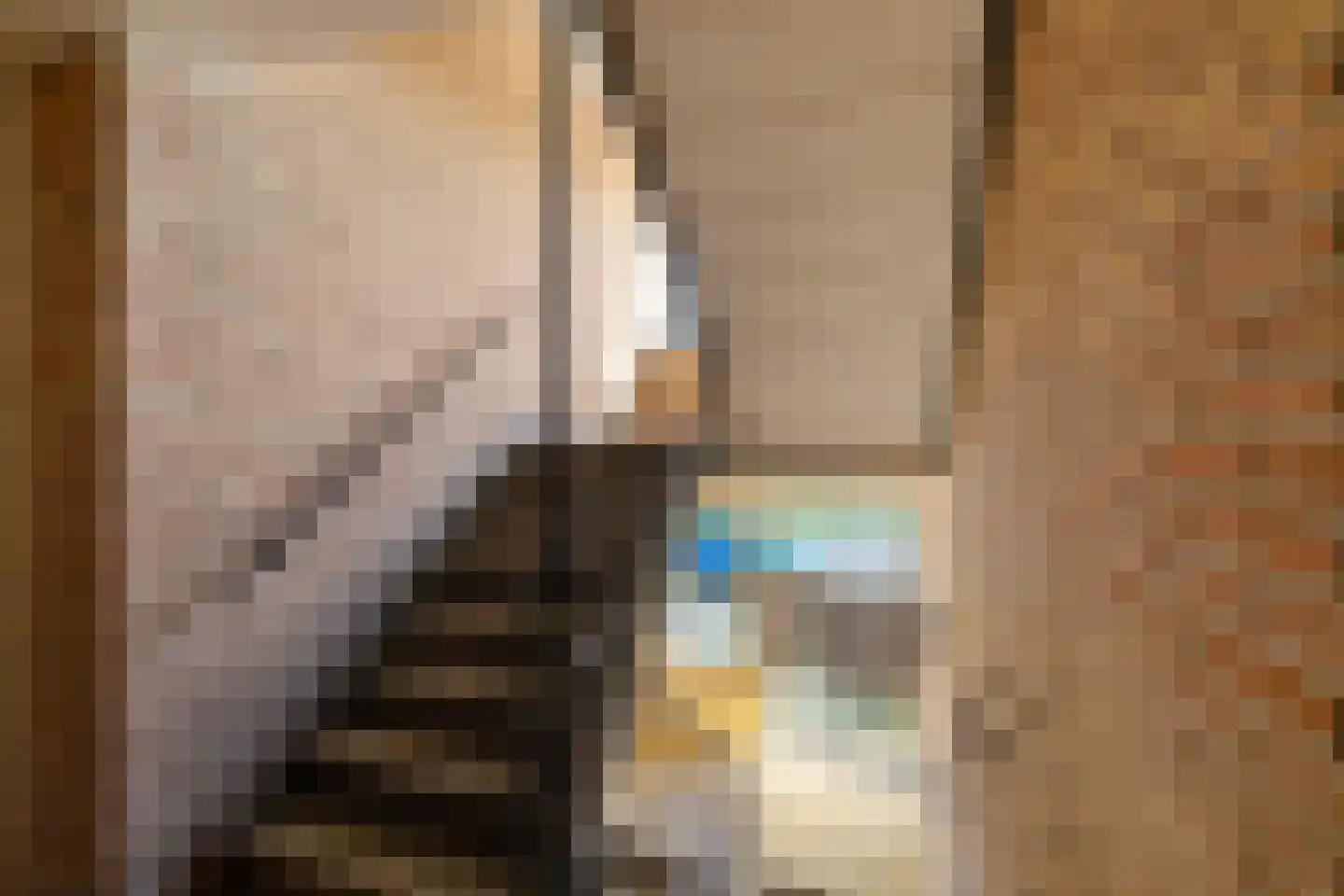 Hora Siccamasingel 369 Groningen thumbnail 8