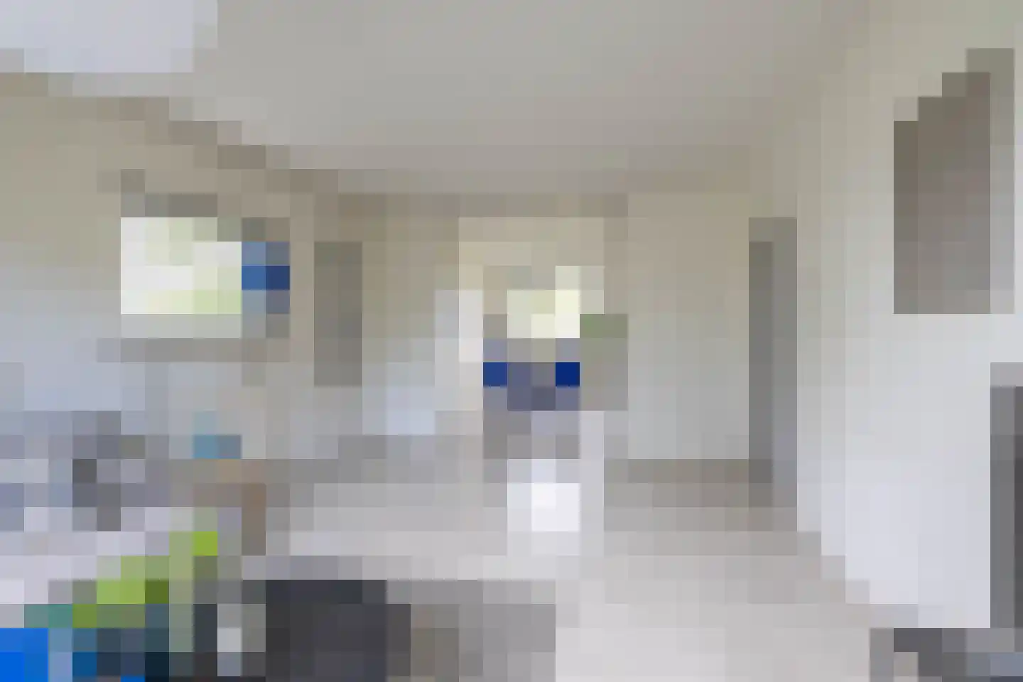 Hora Siccamasingel 39 Groningen thumbnail 22