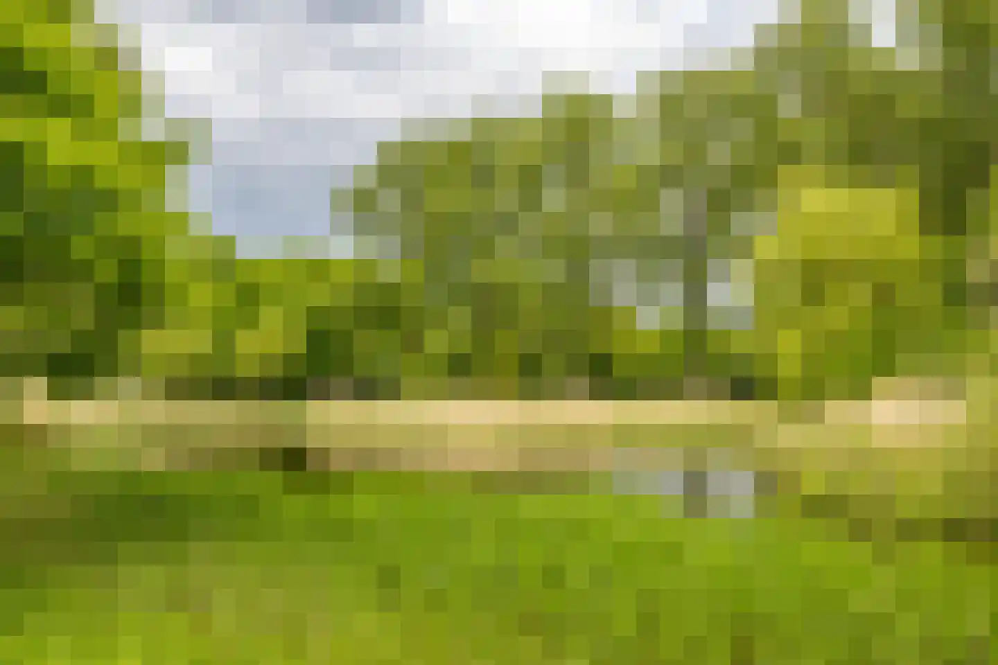 Hora Siccamasingel 39 Groningen thumbnail 6