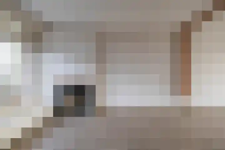 Hora Siccamasingel 391 Groningen thumbnail 19