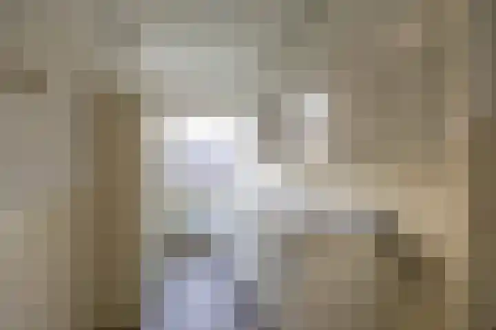 Hora Siccamasingel 391 Groningen thumbnail 25