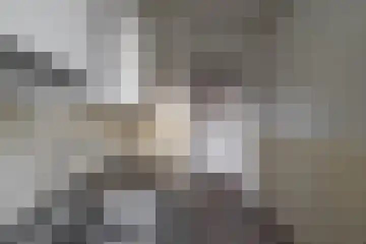 Hora Siccamasingel 391 Groningen thumbnail 27