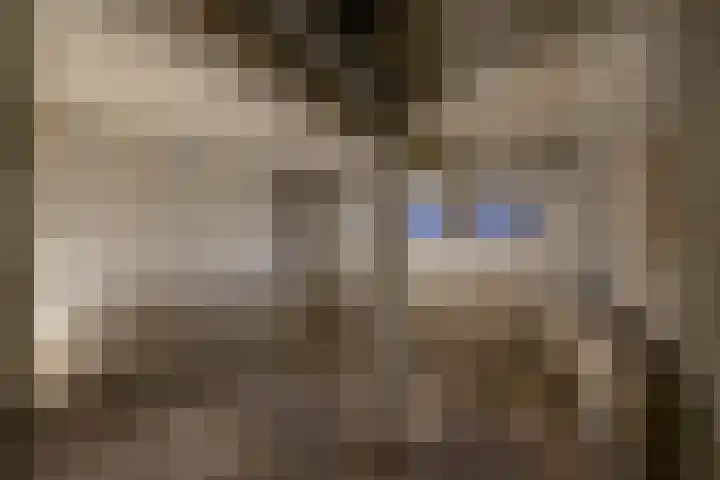 Hora Siccamasingel 391 Groningen thumbnail 39