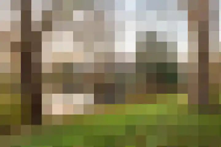 Hora Siccamasingel 391 Groningen thumbnail 7