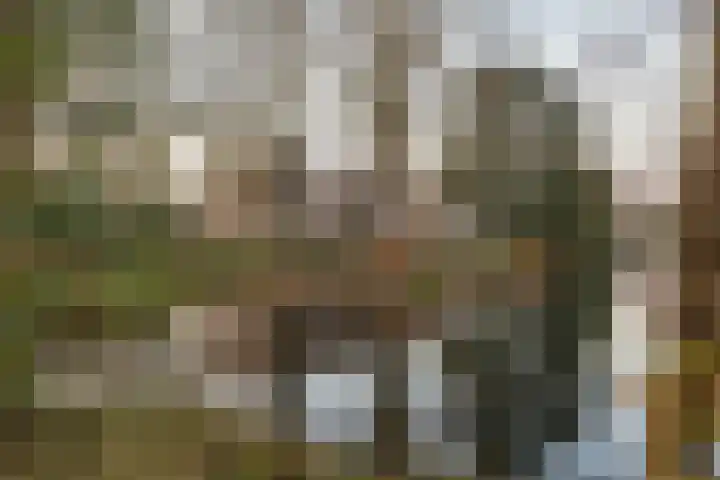 Hora Siccamasingel 391 Groningen thumbnail 8