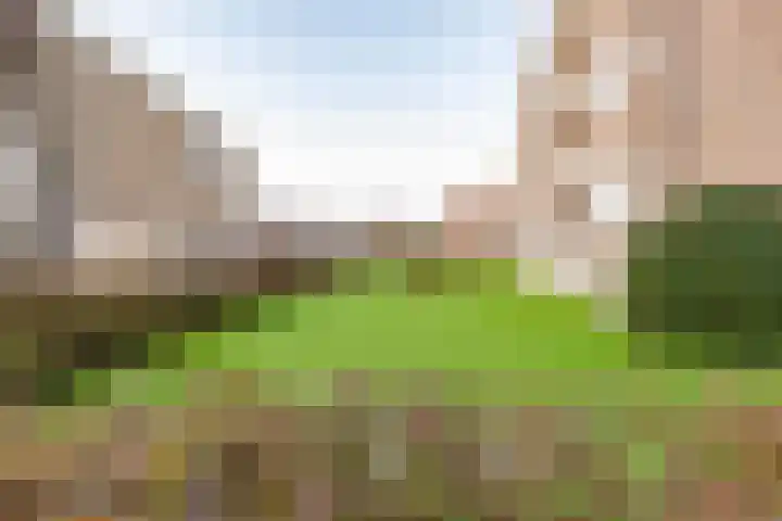 Hora Siccamasingel 391 Groningen thumbnail 9