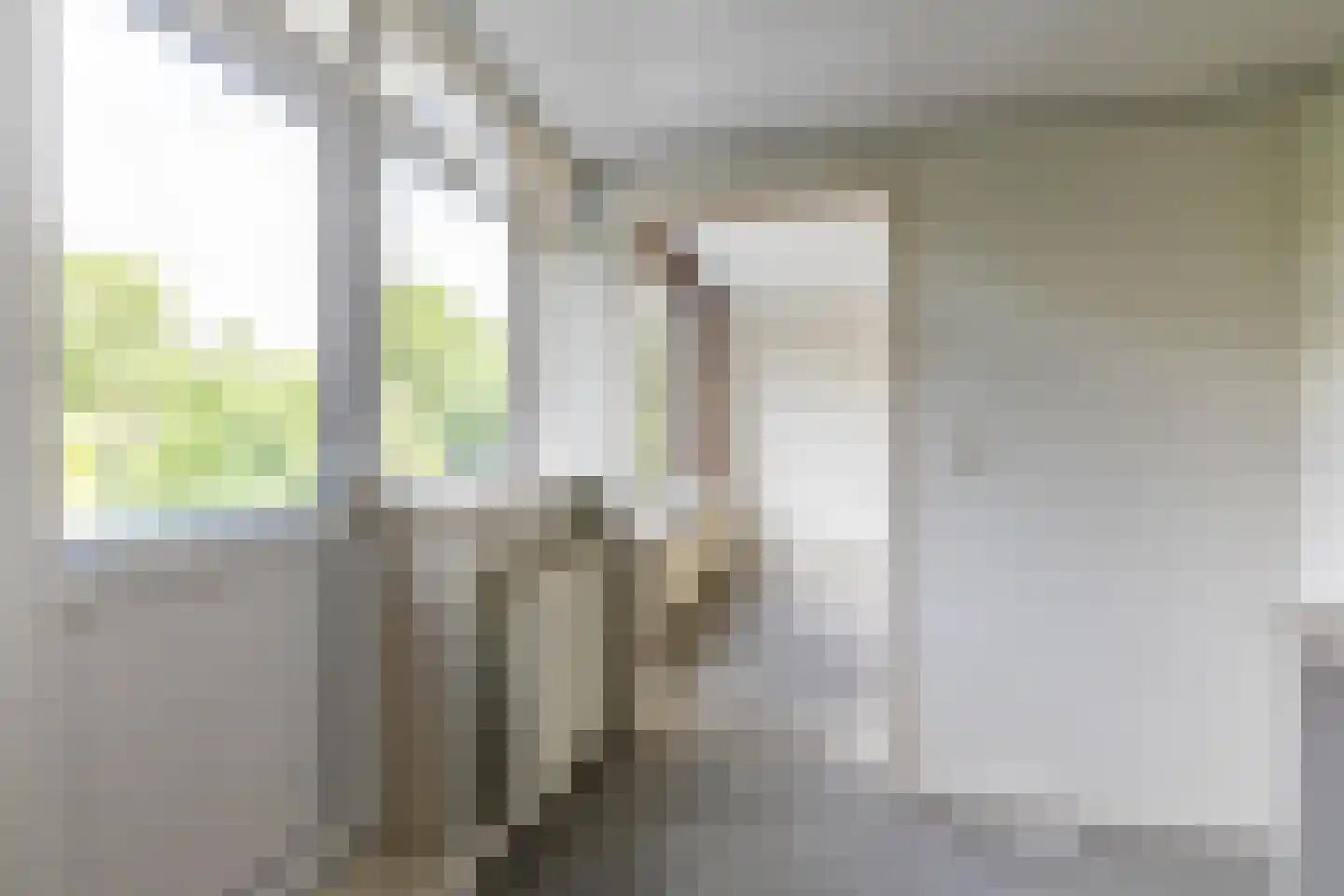 Hora Siccamasingel 43 Groningen thumbnail 22